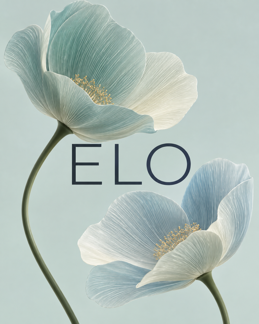 Arte floral de Elo