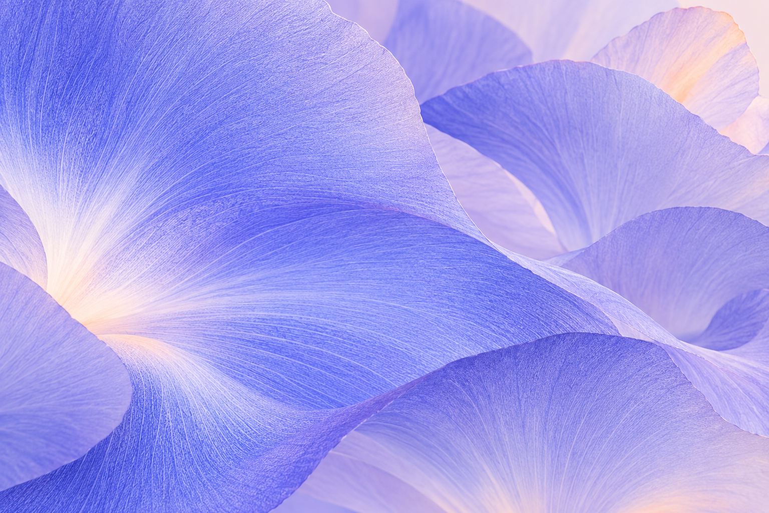 Pétalas em lavanda e azul-violeta formam uma sequência de curvas suaves e texturas delicadas