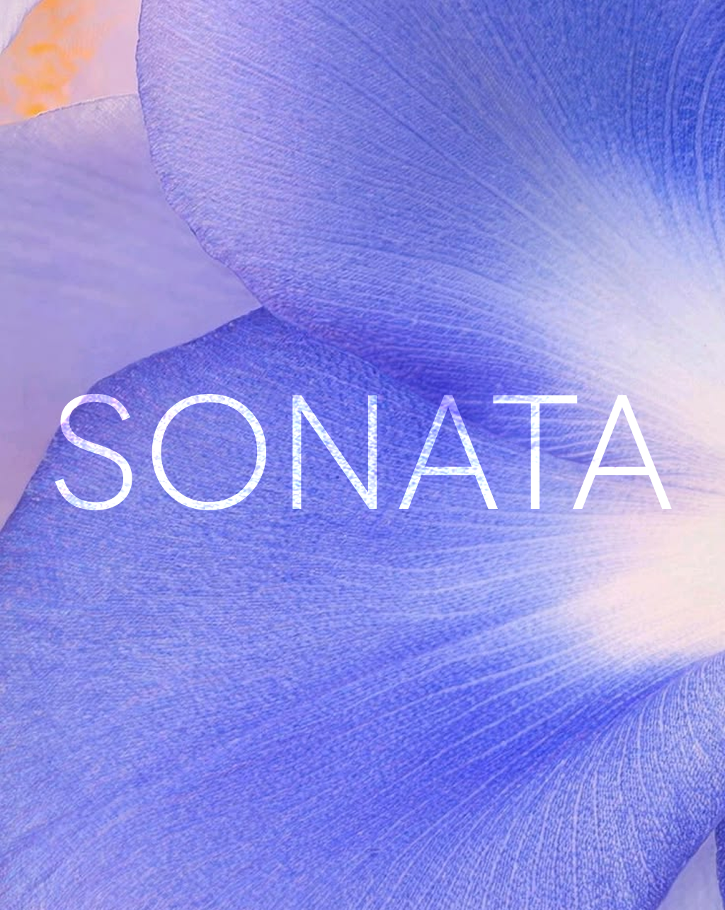 Arte floral de Sonata